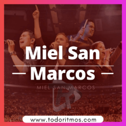 Fiesta – Miel San Marcos