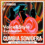 Cumbia Sonidera Mexico - Yamaha PSR-SX